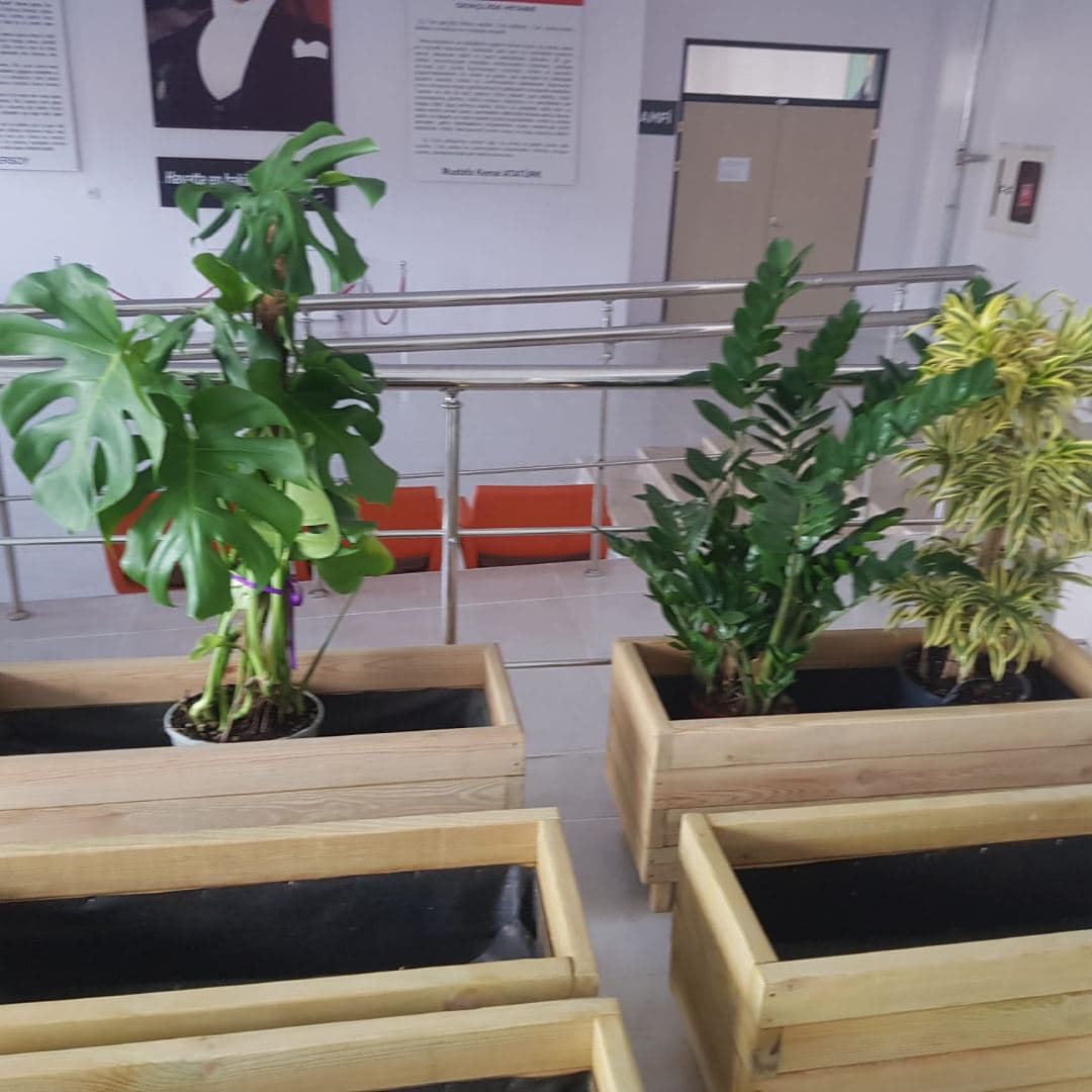 Standart Model Ahşap Saksı küçük görsel 3